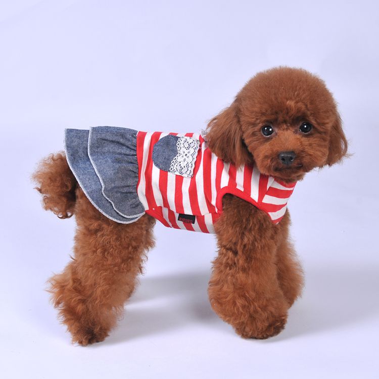 Elegant Princesss Camisole Dress for Small Dog