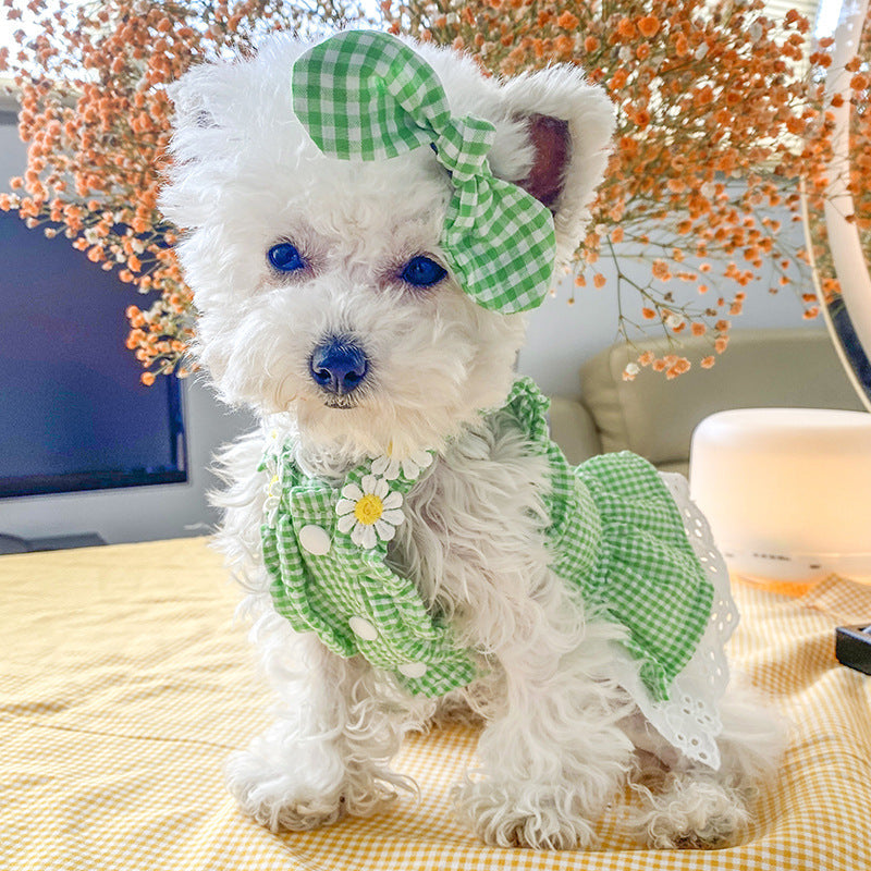 Pet Clothes Plaid Princess Lace Birthday Dresses
