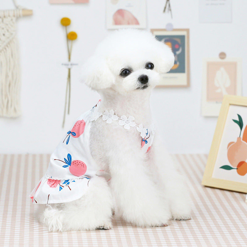 Dog Fruit Dog Summer Bayberry Dress