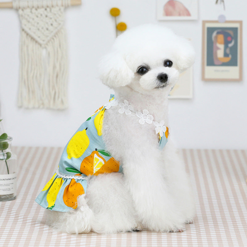Dog Dress Puppy Fruit Braces Skirt