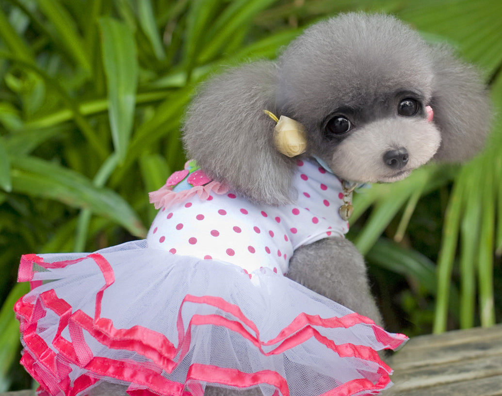 Puppy Cherry Princess Gauze Dog Dress