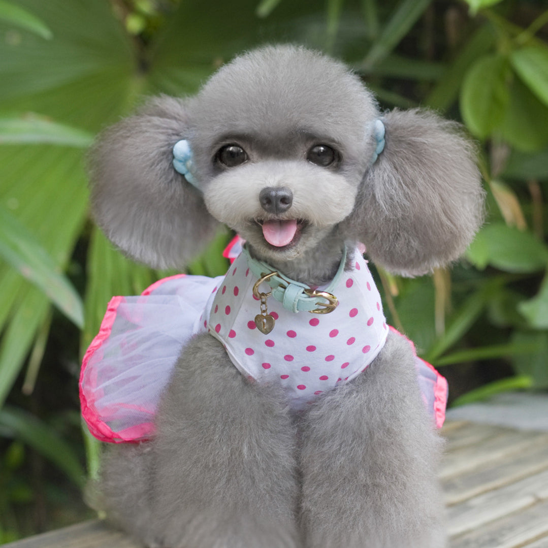 Puppy Cherry Princess Gauze Dog Dress