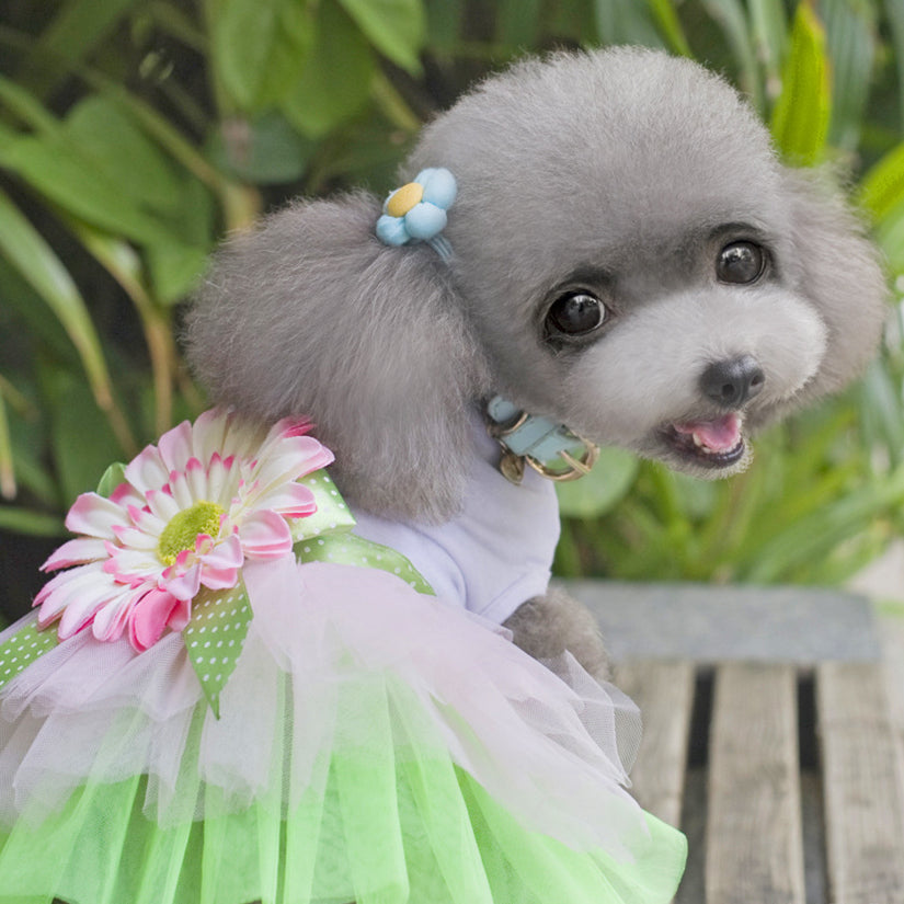 Flower Gauze Dog Dress Bowknot Princess Clothes