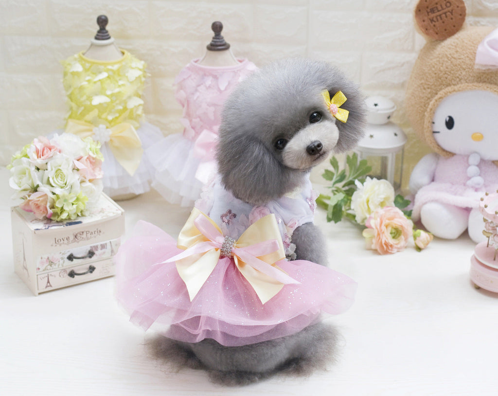 Adorable Lace Dog Dress with Bowknot
