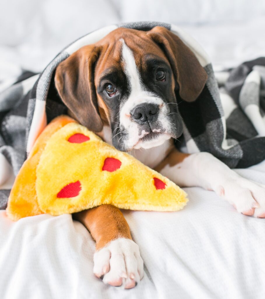 NomNomz Pizza Slice Plush Dog Toy