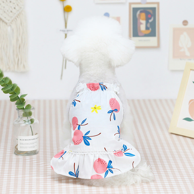 Dog Fruit Dog Summer Bayberry Dress