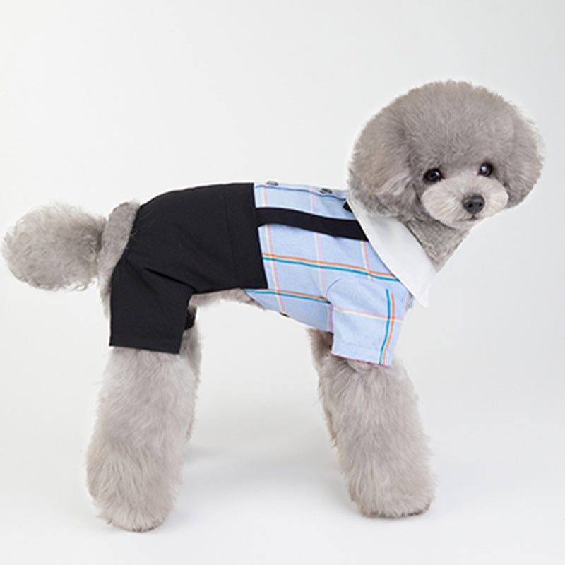 Small Dog Apparel with 4 Legs for Wedding