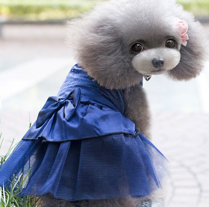 Dog Dress with Lovely Bow on Weddings