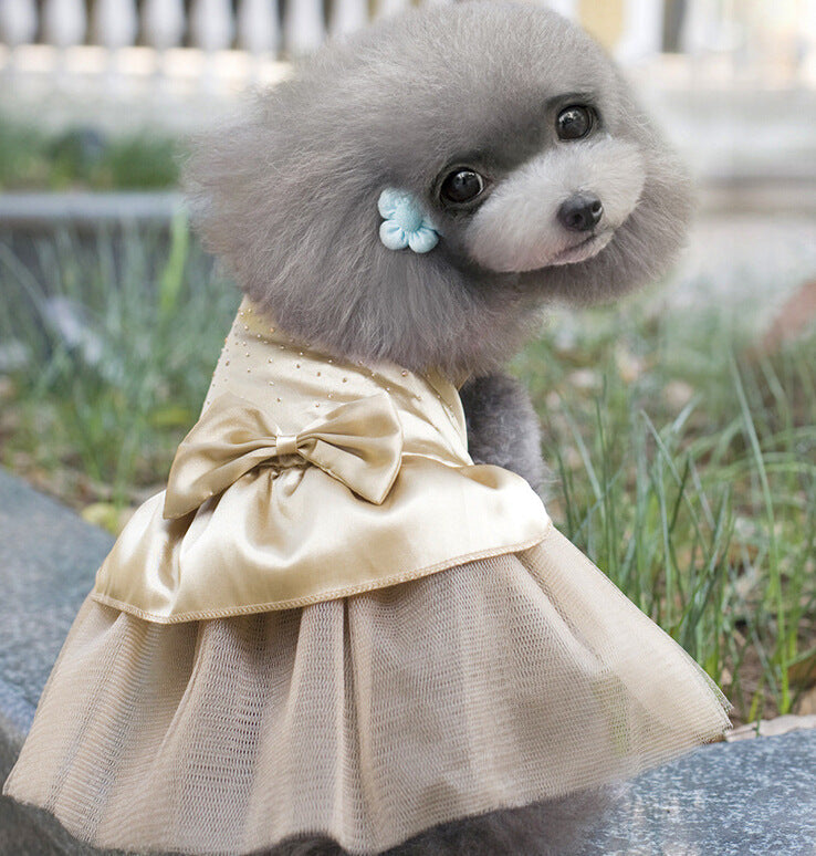 Dog Dress with Lovely Bow on Weddings