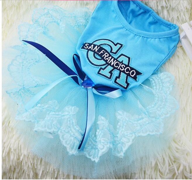 Puppy Dress on Holidays for Dogs