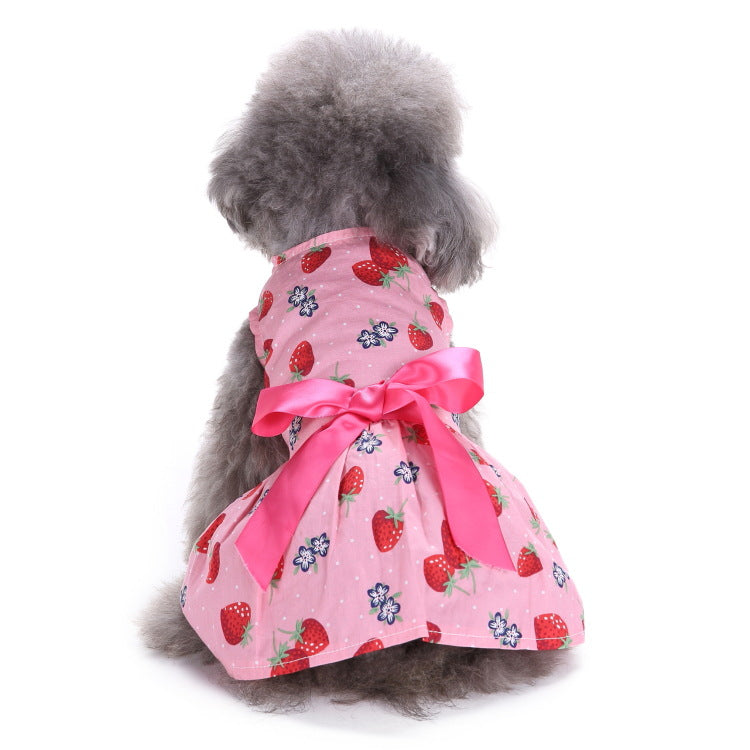 Summer Floral Print Small Dog Dress