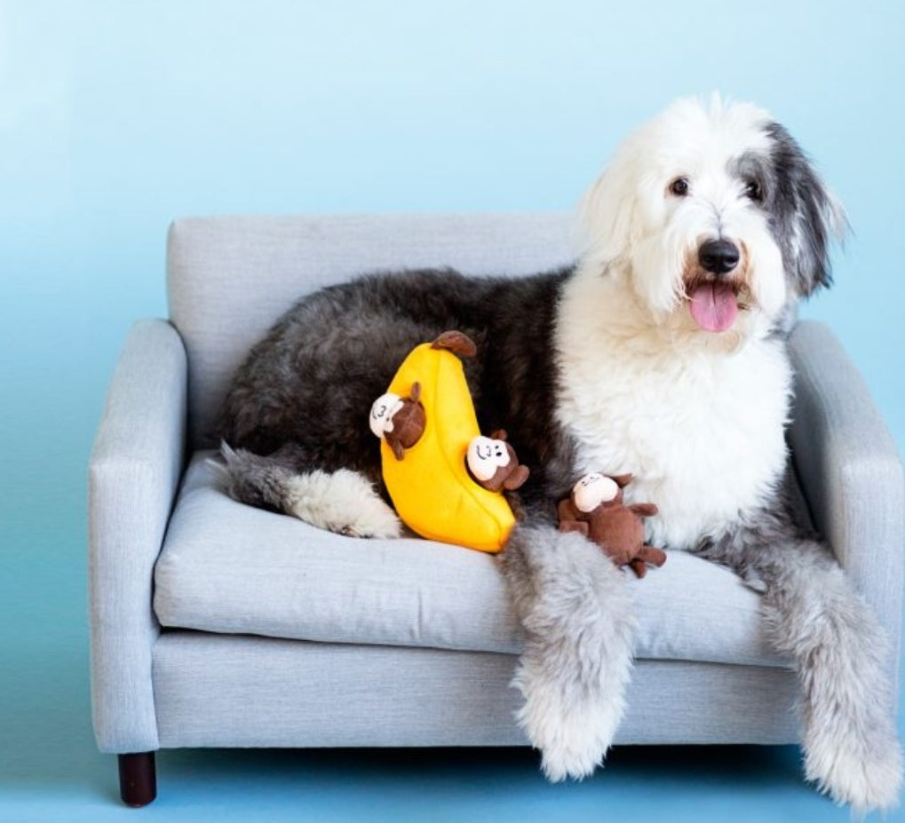 Monkey n Banana Burrow Dog Toys