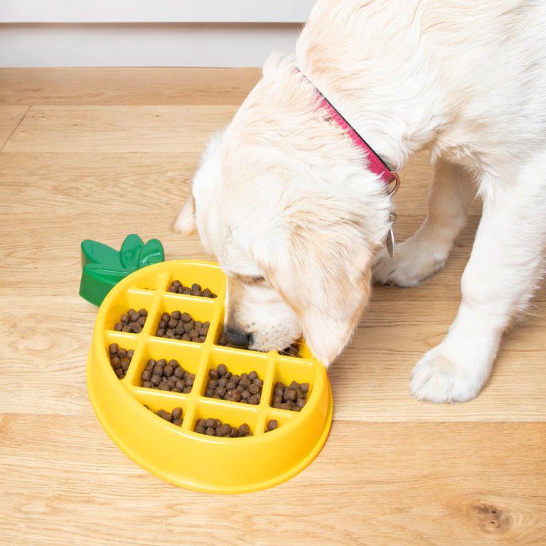 Pineapple Dog Bowl (slow feeder)